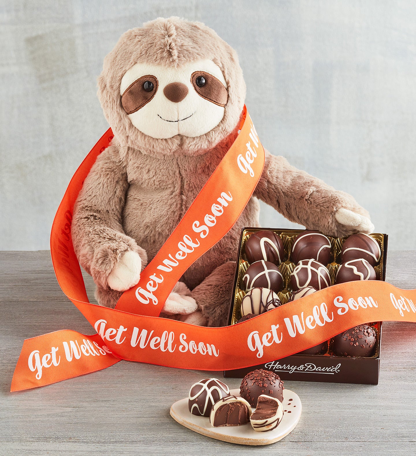 "Get Well" Sloth Plush with Truffles
